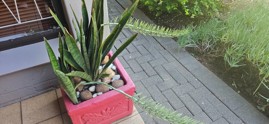 4 Bedroom Property for Sale in Fichardt Park Free State